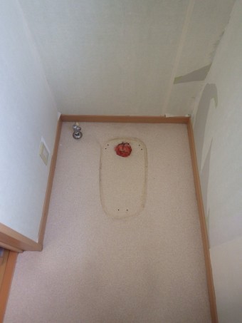 IMGP4944-e1635314093993